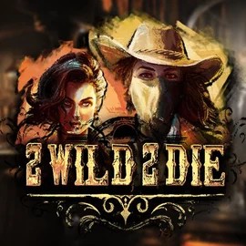 Play the 2 Wild 2 Die slot by Hacksaw Gaming on Shuffle Casino